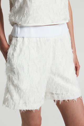 Fil coupé organza shorts