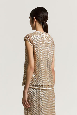 Sequinned mesh top