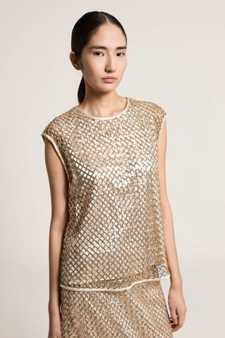 Sequinned mesh top