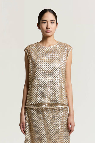 Sequinned mesh top