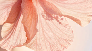 Peserico Fragrances