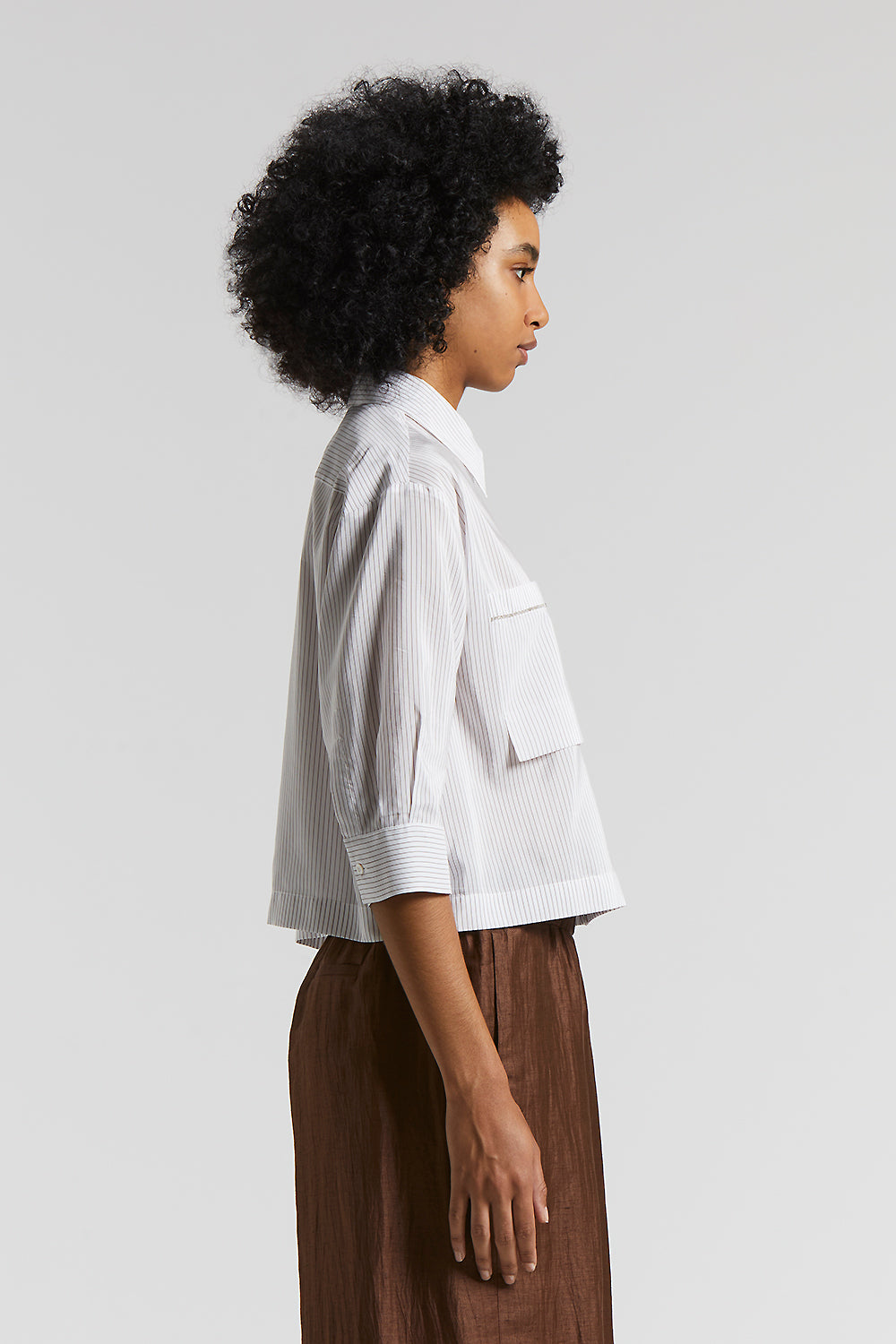 Tシャツ・カットソー PESERICO FW24 Silk crepe shirt (A06560 842) Silk Georgette Crepe Band Collar Shirt | EILEEN FISHER